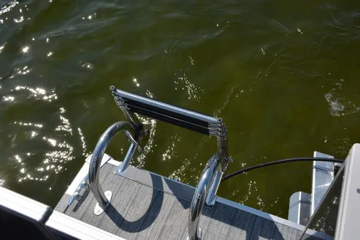 Sunchaser GENEVA-FISH-22-4-0 image