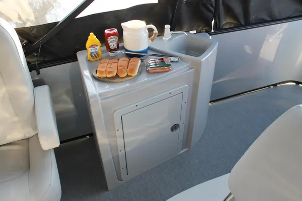 Sunchaser GENEVA-CRUISE-22-VOYAGER image