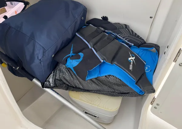 Chaparral SUNESTA-224-XTREME image