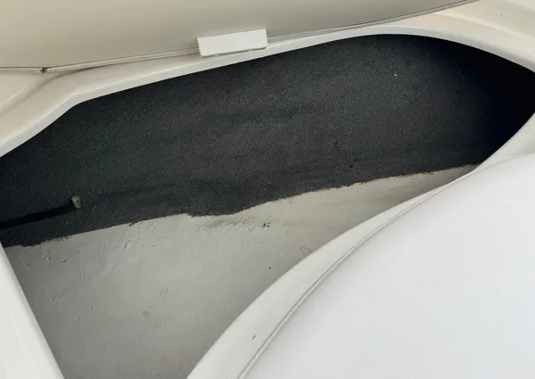 Chaparral SUNESTA-224-XTREME image