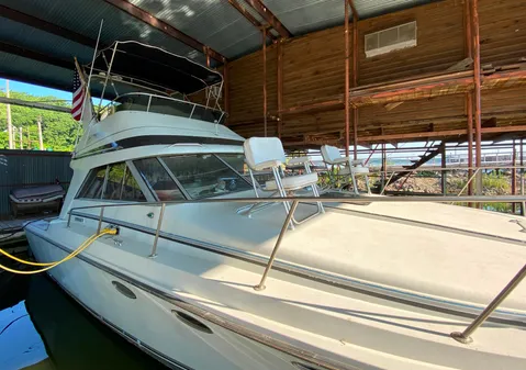 Trojan 10 Meter Sedan image