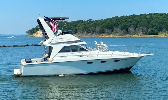 Trojan 10 Meter Sedan image