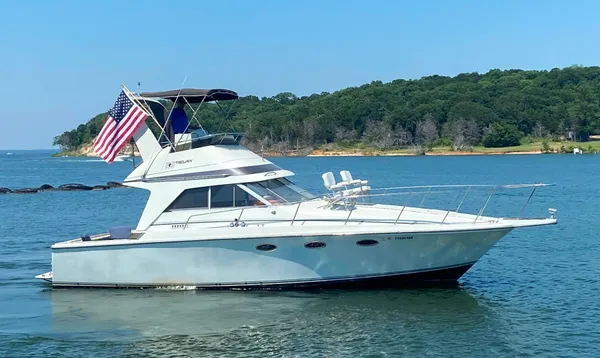 Trojan 10 Meter Sedan image