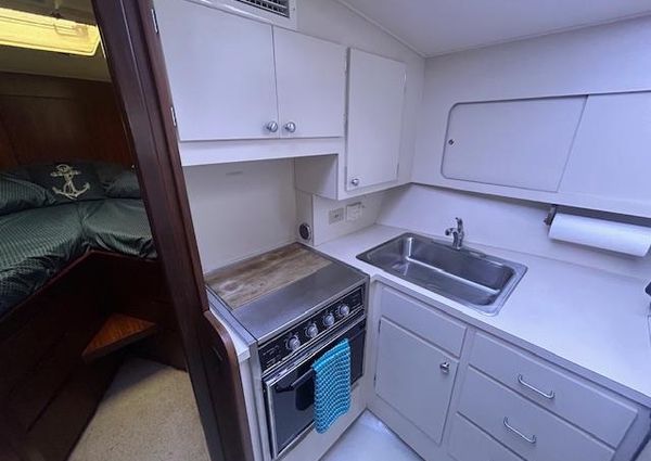 Hatteras 40-DOUBLE-CABIN image