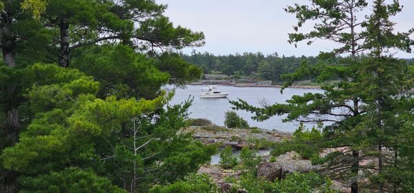 Hatteras 40-DOUBLE-CABIN image