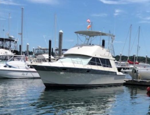 Silverton 40 Convertible - main image