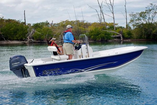 Carolina Skiff 2390 DLX EW - main image