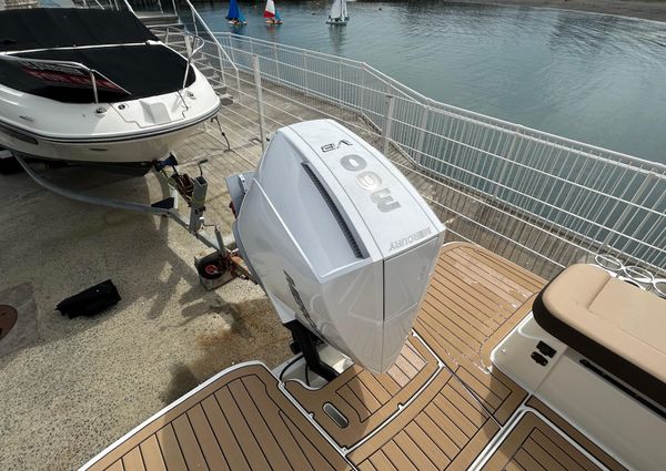 Sea-ray SDX-250-OUTBOARD image