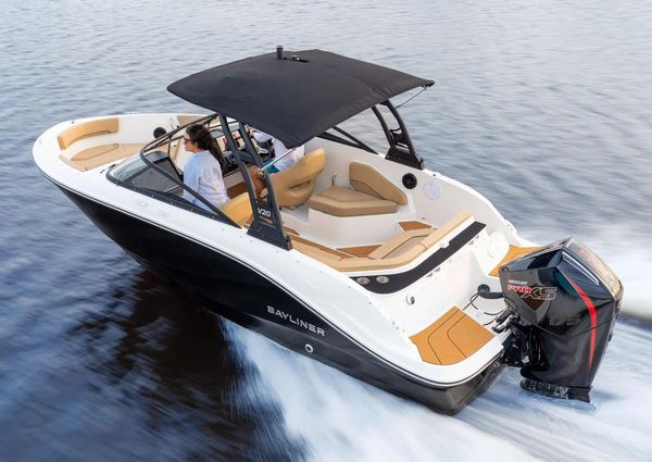 Bayliner V20 image