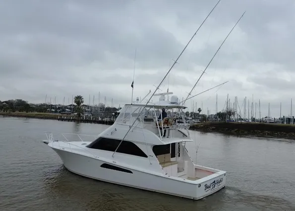 Viking 45 Convertible image