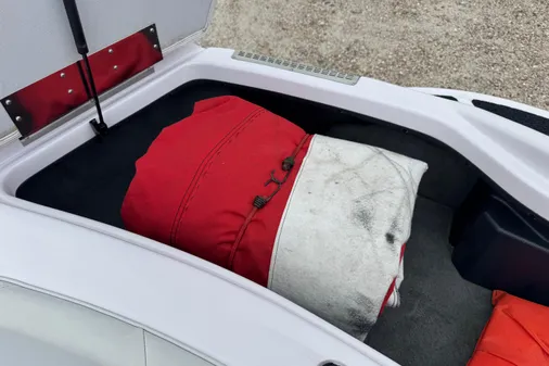 Correct-craft AIR-NAUTIQUE-216-LIMITED image