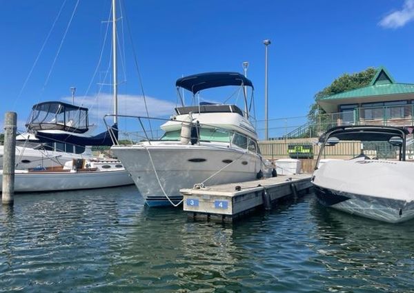 Sea-ray 300-SD image