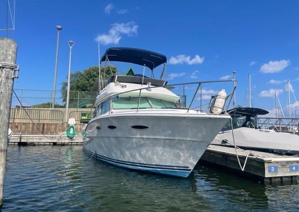 Sea-ray 300-SD image