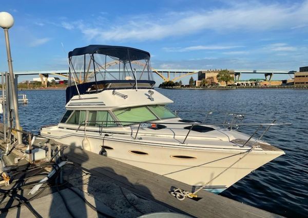 Sea-ray 300-SD image