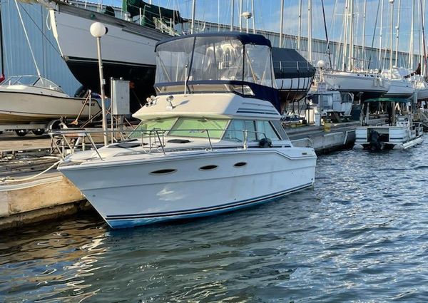 Sea-ray 300-SD image