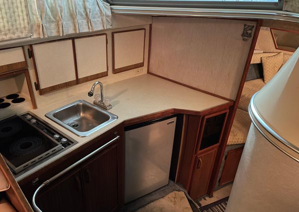 Sea-ray 300-SD image