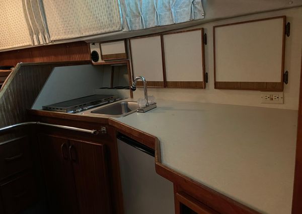 Sea-ray 300-SD image