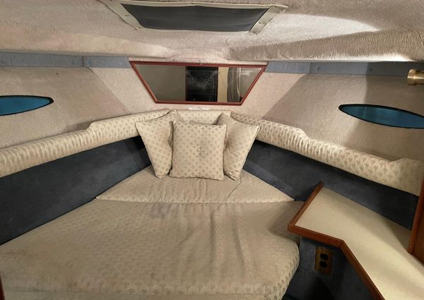 Sea-ray 300-SD image