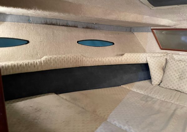 Sea-ray 300-SD image