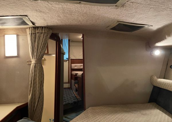 Sea-ray 300-SD image