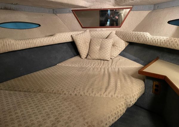 Sea-ray 300-SD image