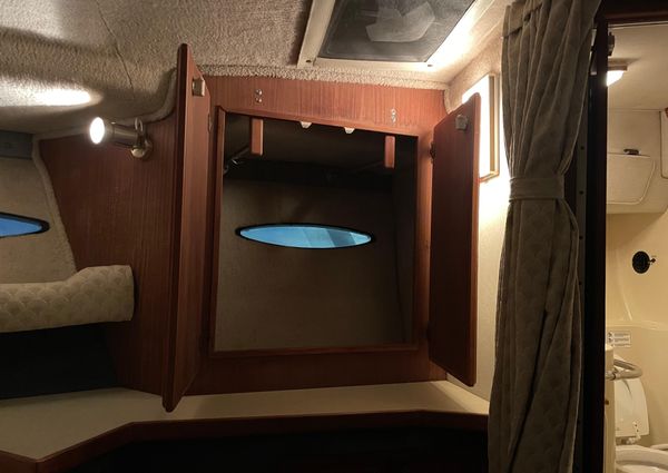 Sea-ray 300-SD image