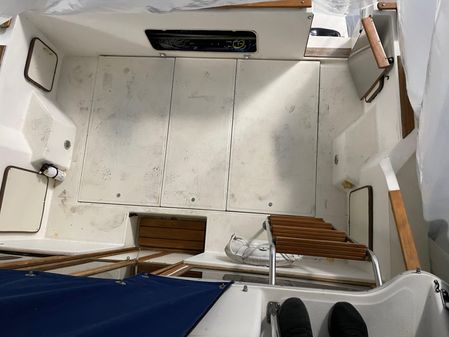 Sea-ray 300-SD image