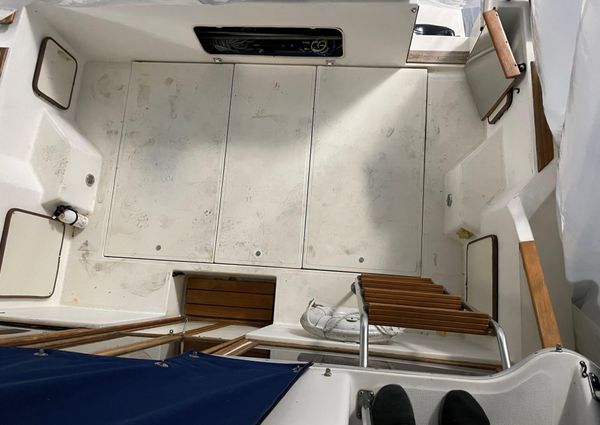 Sea-ray 300-SD image