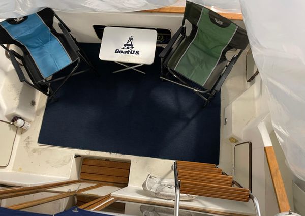 Sea-ray 300-SD image