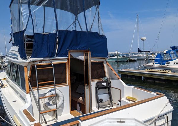 Sea-ray 300-SD image