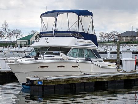 Sea-ray 300-SD image