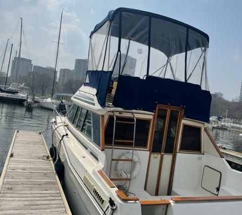 Sea-ray 300-SD image