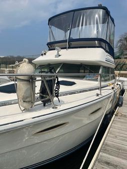 Sea-ray 300-SD image