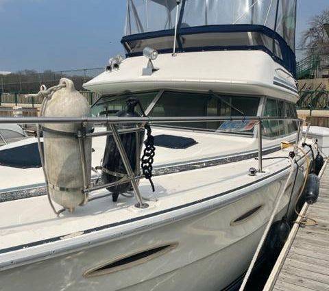 Sea-ray 300-SD image