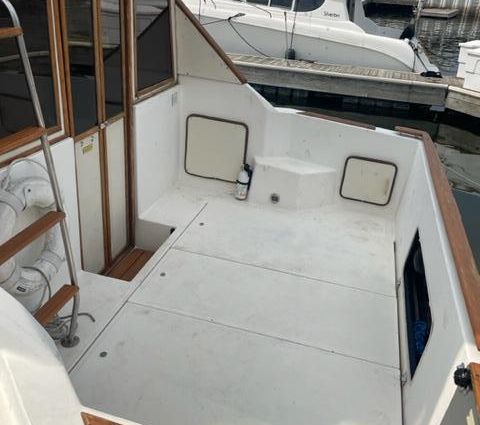 Sea-ray 300-SD image