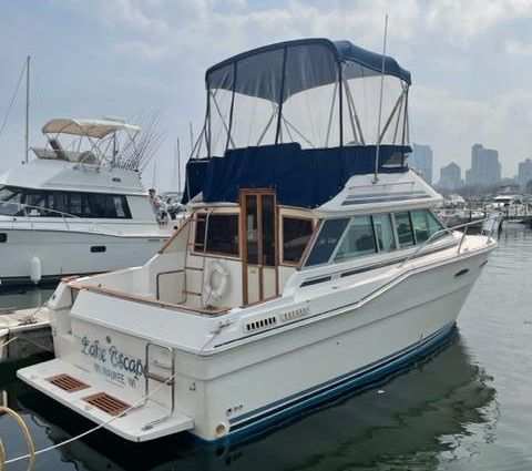 Sea-ray 300-SD image