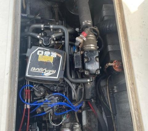 Sea-ray 300-SD image