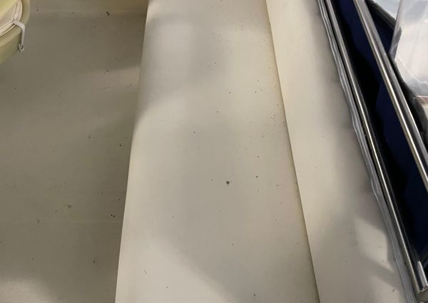 Sea-ray 300-SD image