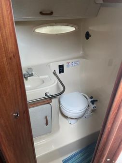 Sea-ray 300-SD image