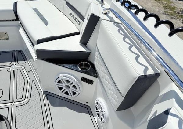 Blackfin 252-CC image