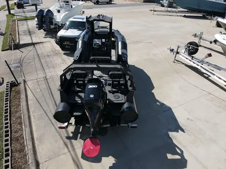 DGS 22 Monster image