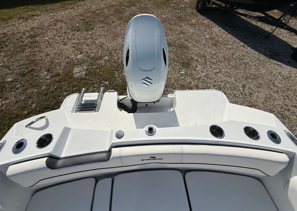 Stingray 172DC image