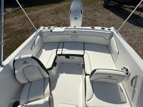 Stingray 172DC image