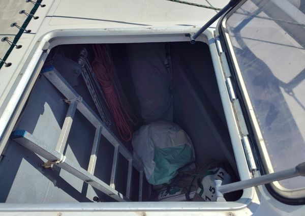 Performance-catamarans 52 image