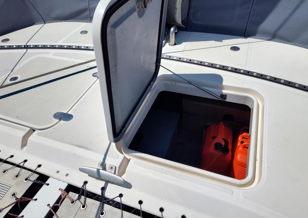 Performance-catamarans 52 image