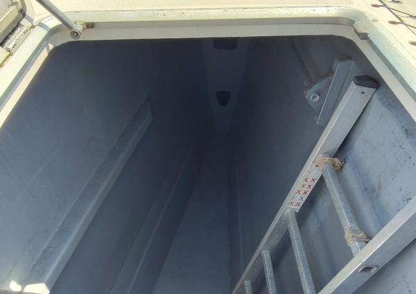 Performance-catamarans 52 image