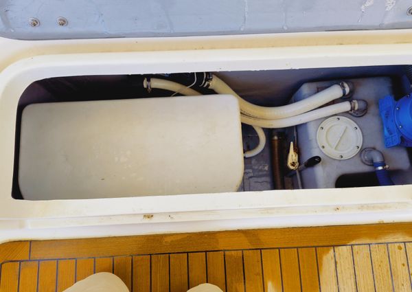 Performance-catamarans 52 image