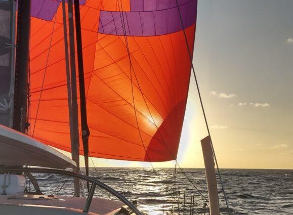 Performance-catamarans 52 image