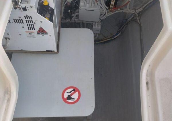 Performance-catamarans 52 image