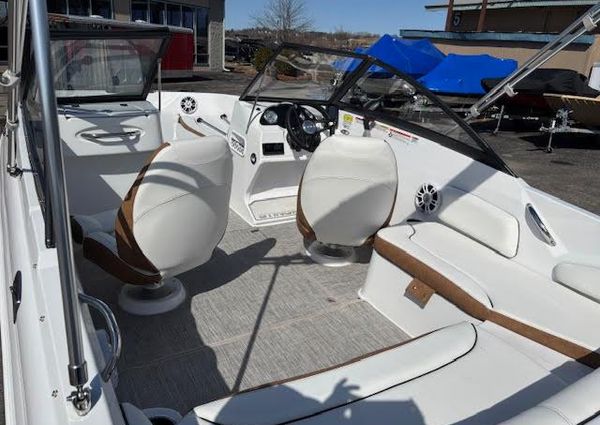 Stingray 191DC-DUAL-CONSOLE-BOWRIDER image